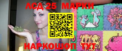 стаф Сланцы