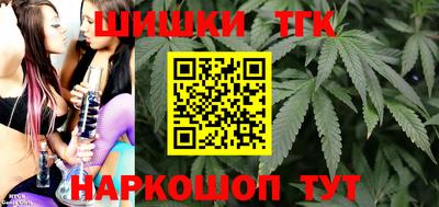 стаф Сланцы