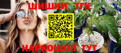 стаф Сланцы
