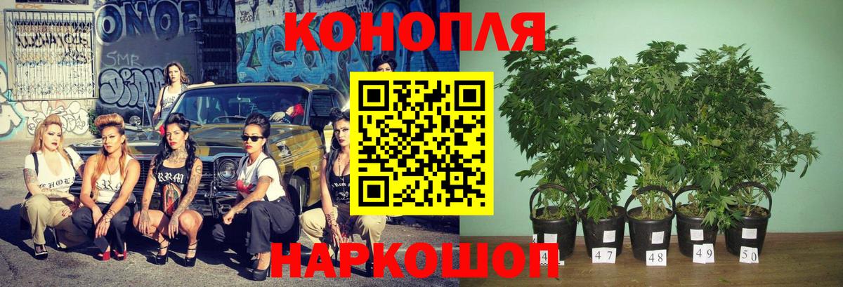 Канабис AK-47 Белорецк